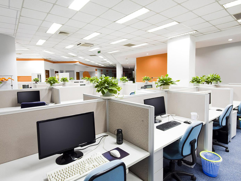 List cây trồng trong nước trang trí bàn làm việc