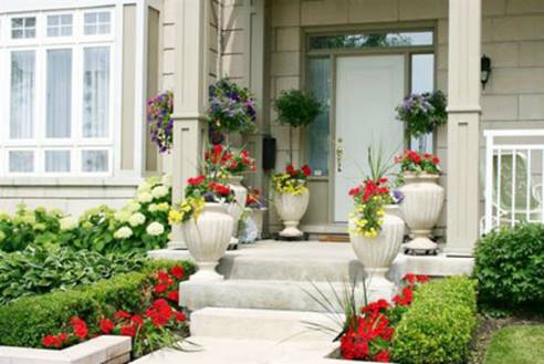 cách chọn hoa lan hồ điệp tặng mẹ 12