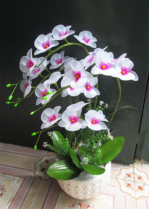 chậu lan bằng vải voan cực xinh