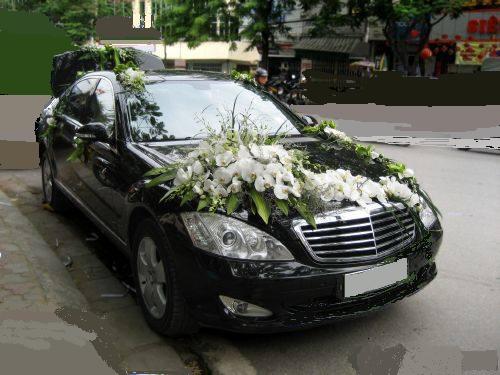 Hoa lan hồ điệp kết thành xe hoa cưới sang trọng