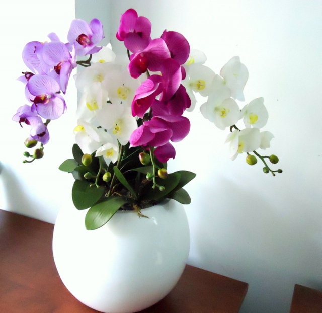 Hoa lan hồ điệp tặng bạn trai có ý nghĩa gì?