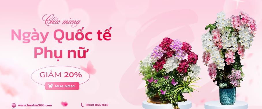 Banner 8-3 - Hoalan360