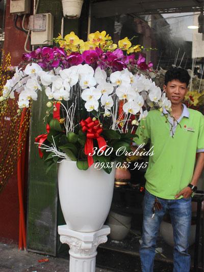 Chậu lan hồ điệp 3 tầng - Vạn sự may mắn