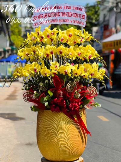 Chậu lan hồ điệp vàng - Sinh tài phát lộc
