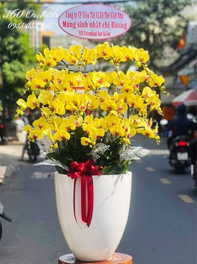 Chậu lan hồ điệp vàng - Sung túc an khang