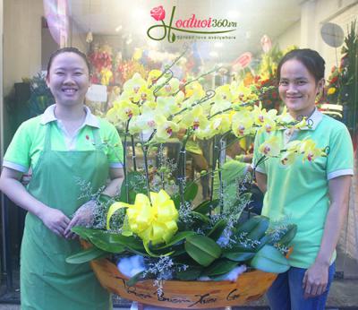 Đặt hoa khai trương chúc mừng công ty, cửa hàng hồng phát
