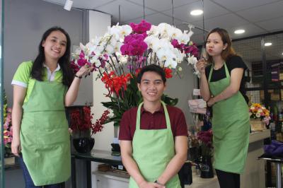 Hoa lan hồ điệp có ý nghĩa gì?