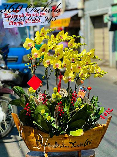 Hoa lan hồ điệp vàng - Vạn sự hanh thông