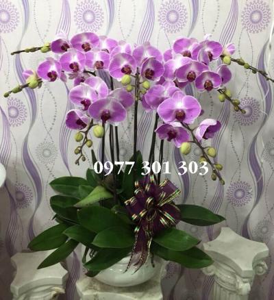 Mãi yêu anh