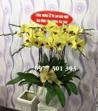 Lan hồ điệp vàng - Phúc lộc an khang