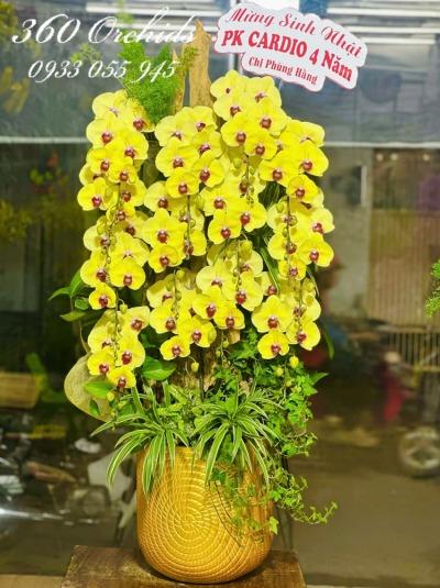 LHDGL - Mạch nguồn phú quý