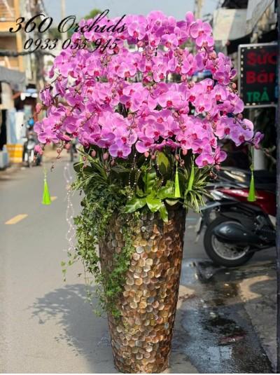 LHDH - Vạn lộc trường xuân