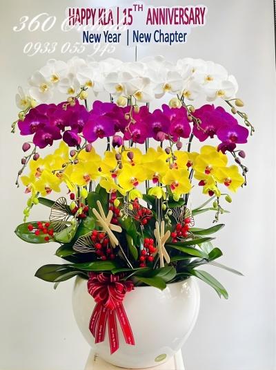 LHDKT - Bậc thang danh vọng