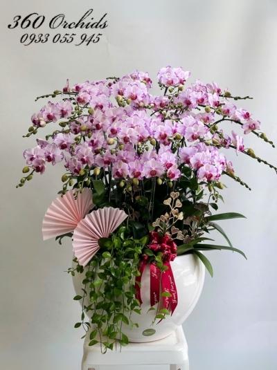 LHDMN - Dáng ngọc thướt tha