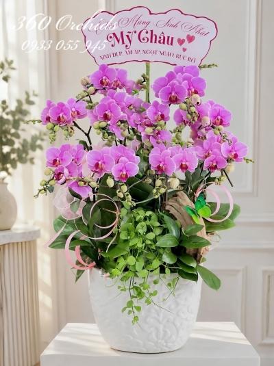 LHDMN - Lộc trời gõ cửa