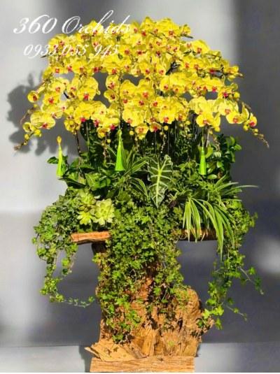 LHDT - Cỗ hoa ngày tết