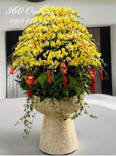 LHDT - Nụ cười ngày xuân