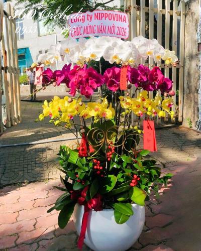 LHDT - Sắc xuân hội tụ