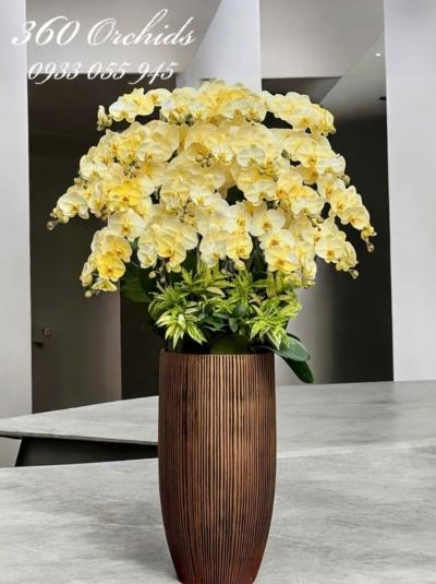 LHDV - Khúc ca khải hoàn