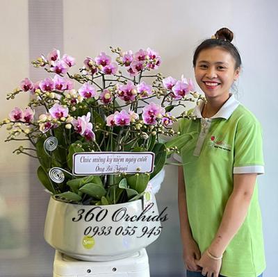 Nên tặng lan hồ điệp vào dịp nào?