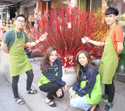 Nụ tầm xuân - Hoa cho ngày xuân thêm rộn ràng