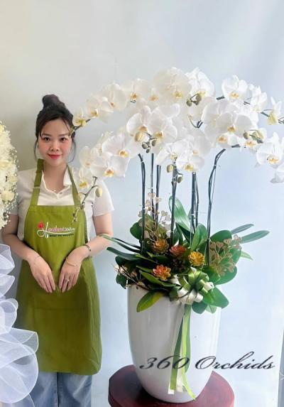 Shop hoa lan hồ điệp TP. Biên Hòa - Đồng Nai uy tín, giao nhanh