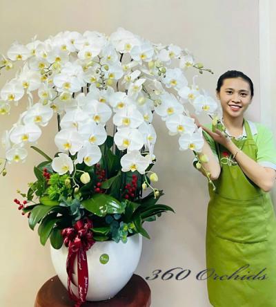 Shop hoa lan hồ điệp TP. Vũng Tàu - Bà Rịa - Vũng Tàu uy tín, giao nhanh