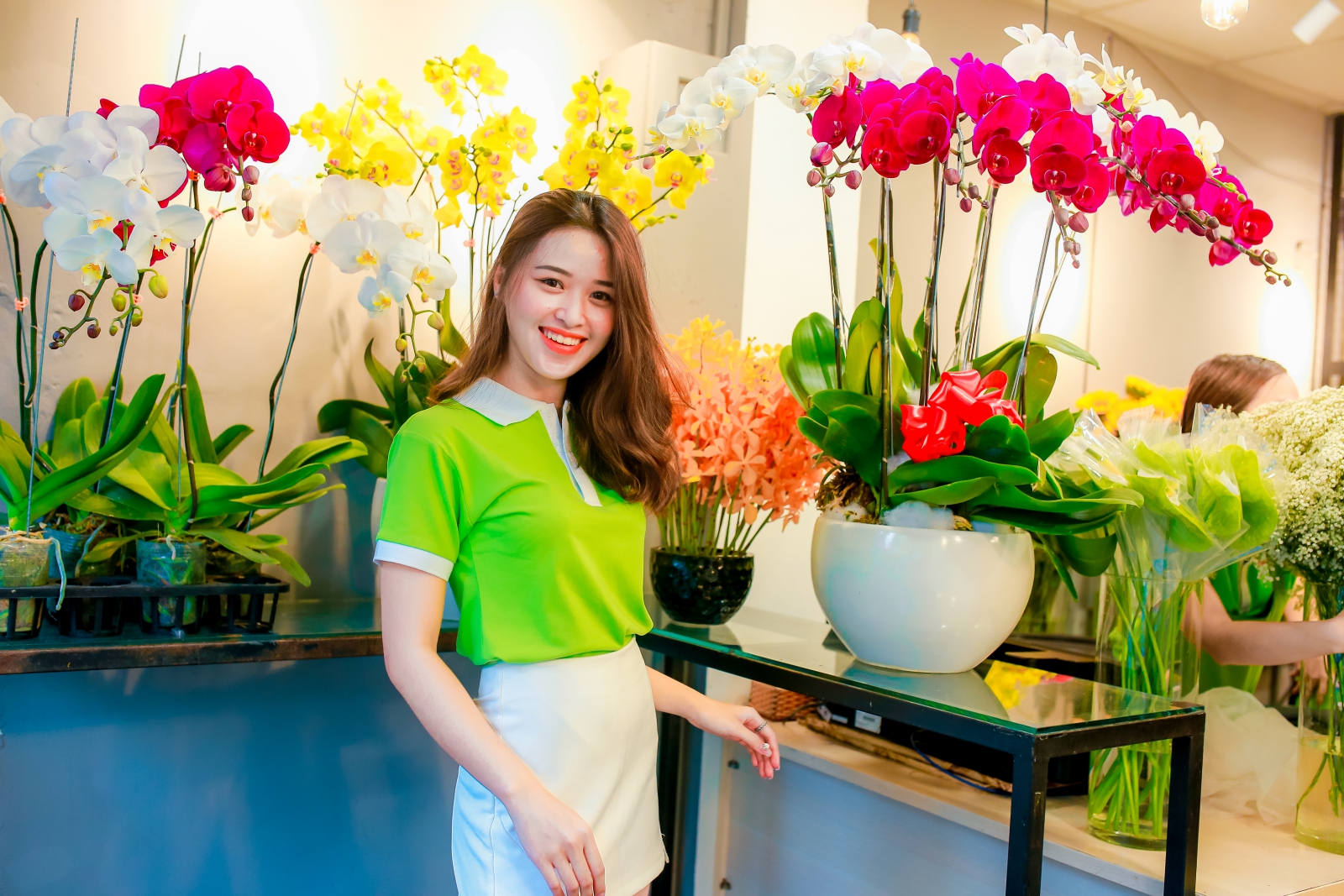 Địa chỉ mua lan hồ điệp Tết 2023 đẹp tặng tối tác