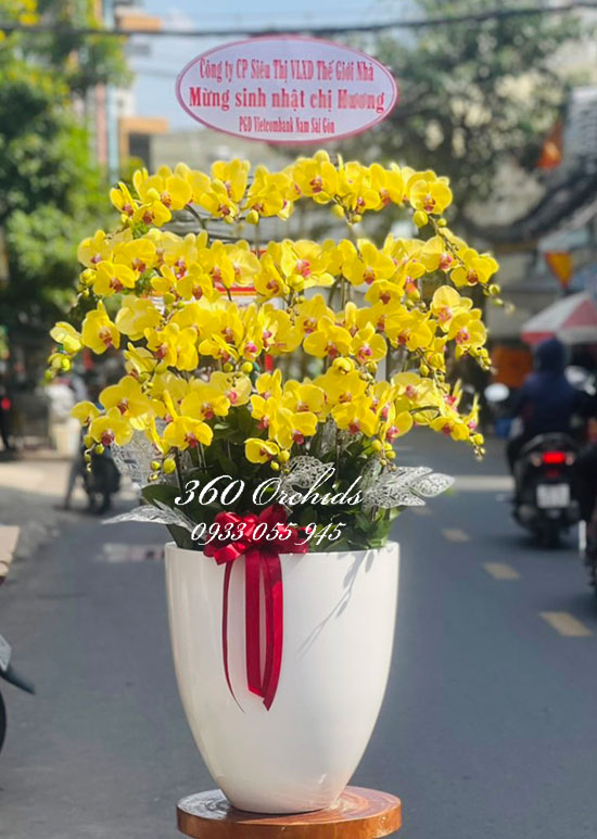 Chậu lan hồ điệp vàng - Sung túc an khang