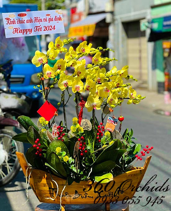 Hoa lan hồ điệp vàng - Vạn sự hanh thông