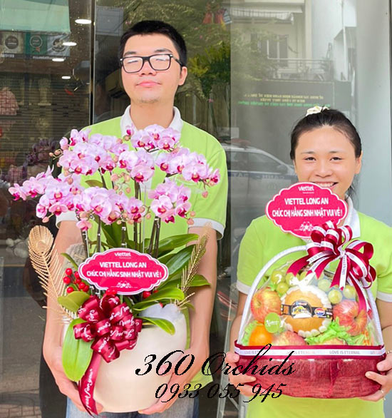 Chậu lan hồ điệp mini - Hòa thuận ấm êm
