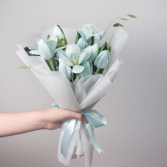Hoa Tulip xanh đẹp nhất