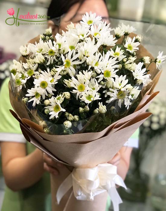 bó cúc họa mi - hương sắc hà nội