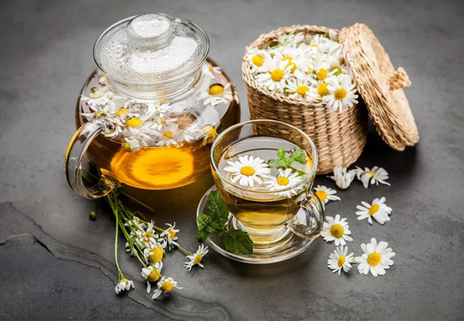 cúc họa mi có công dụng gì