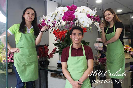 Shop bán lan hồ điệp mini giá rẻ uy tín, chất lượng